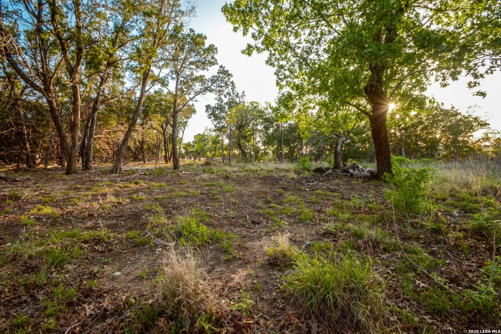 827 Thanksgiving Utopia TX 78884