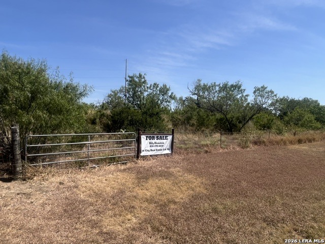 Tbd Corgey Road Pleasanton TX 78064