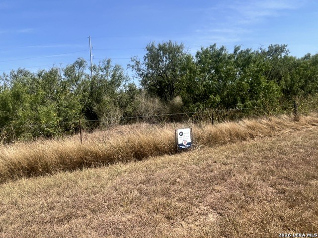 Tbd Corgey Road Pleasanton TX 78064