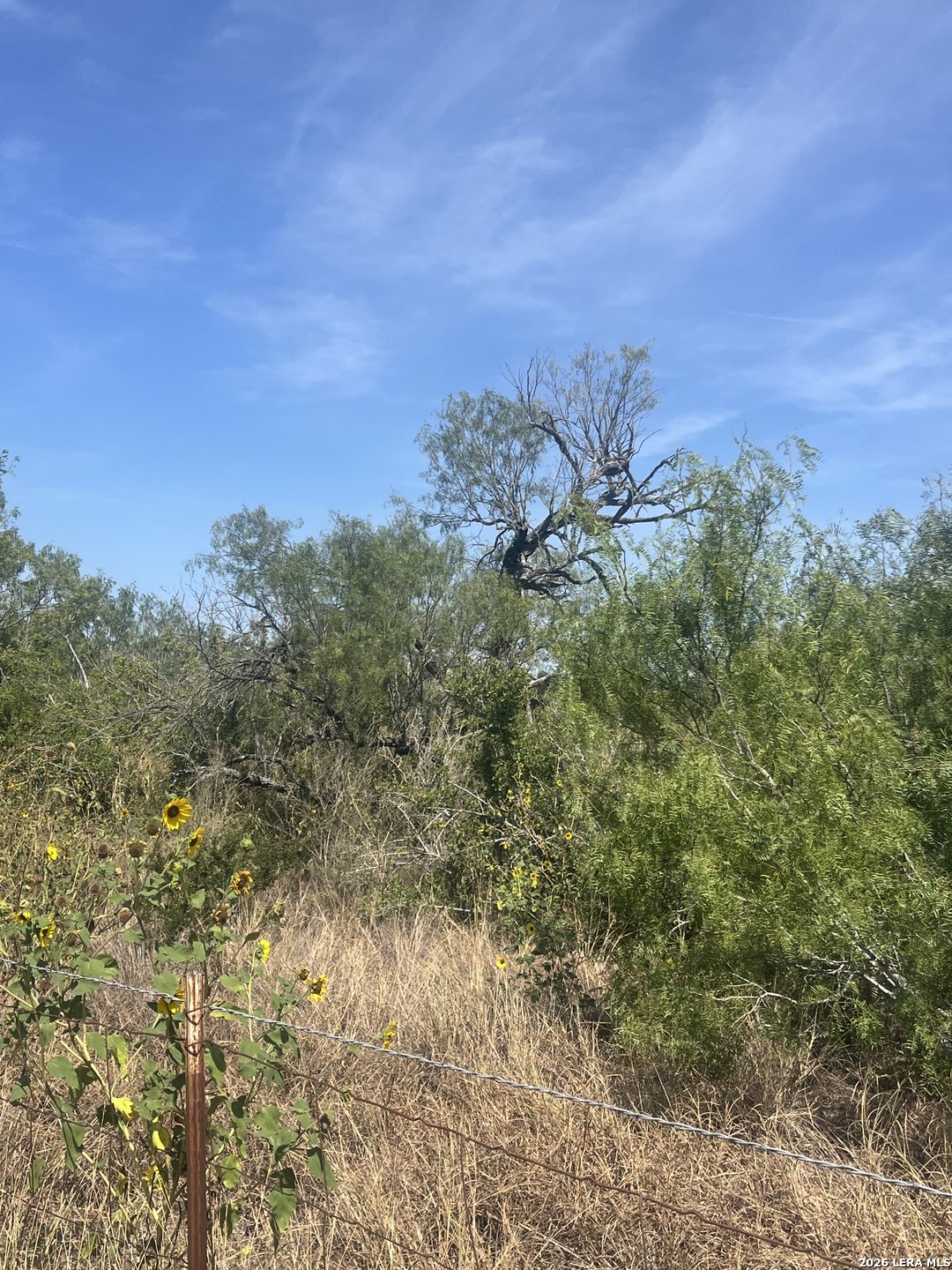 Tbd Corgey Road Pleasanton TX 78064