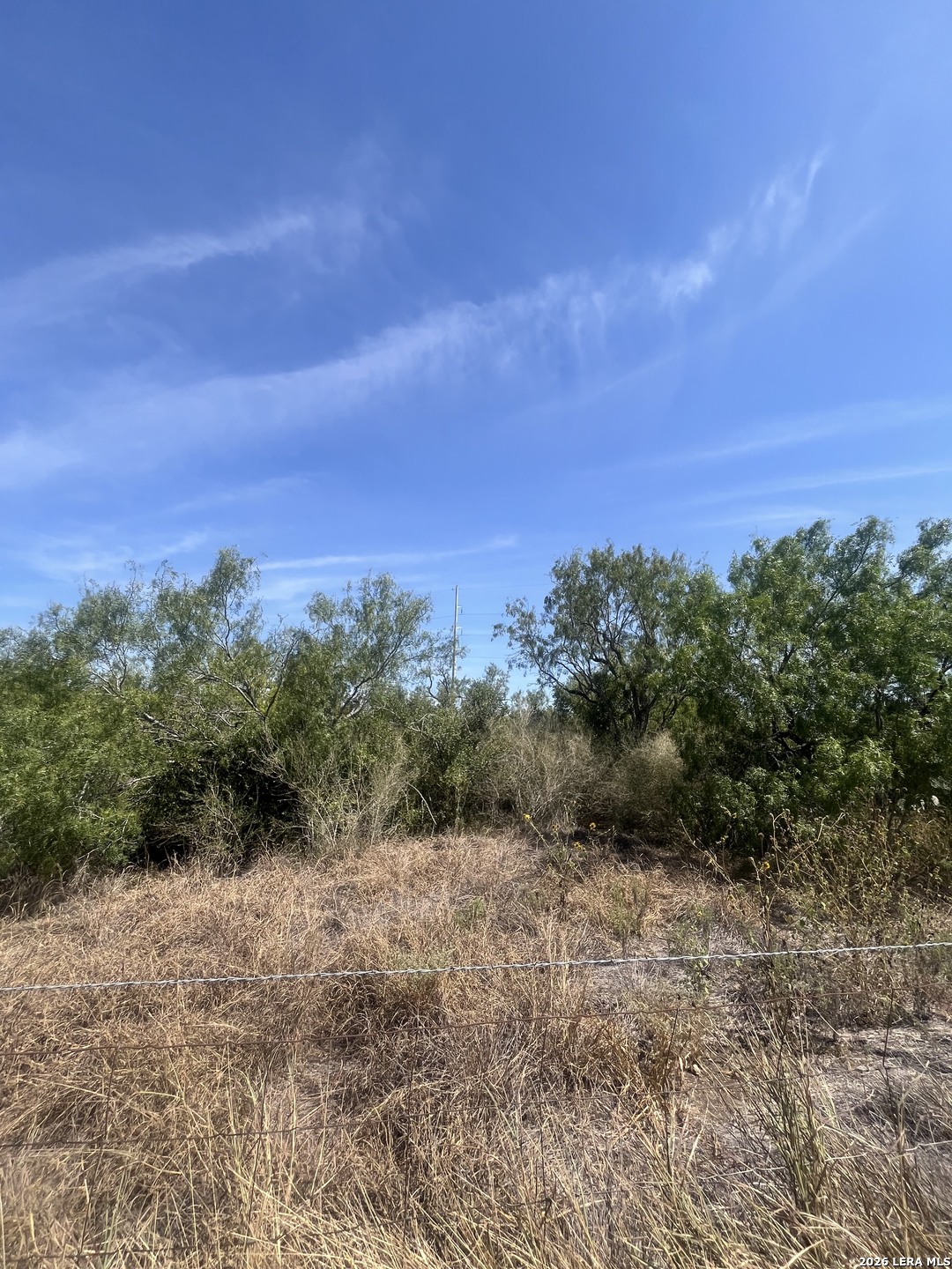 Tbd Corgey Road Pleasanton TX 78064