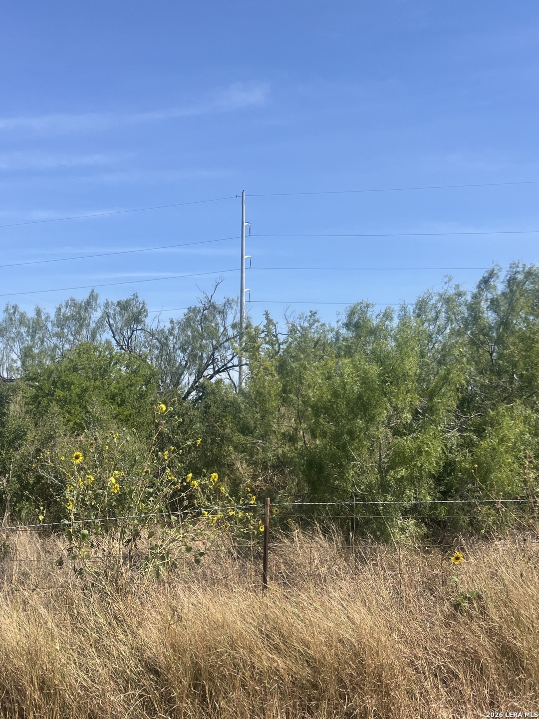 Tbd Corgey Road Pleasanton TX 78064