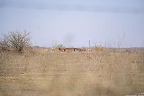 Tbd W Payne Somerset TX 78069