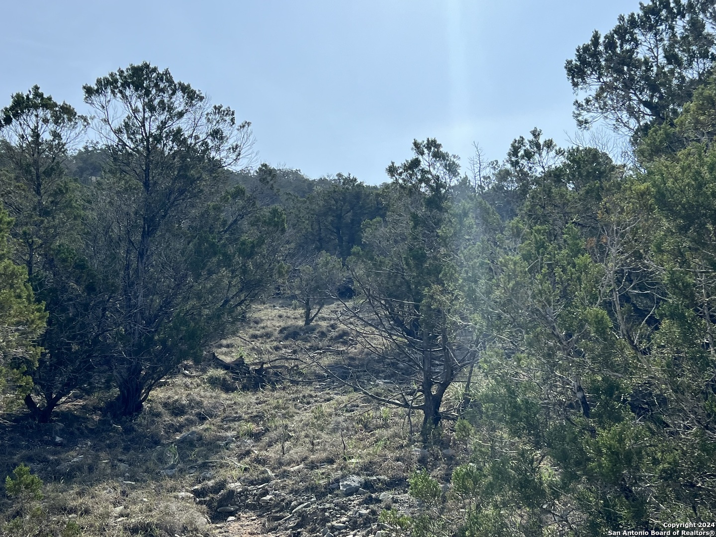 1081 Hillside View Drive New Braunfels TX 78132
