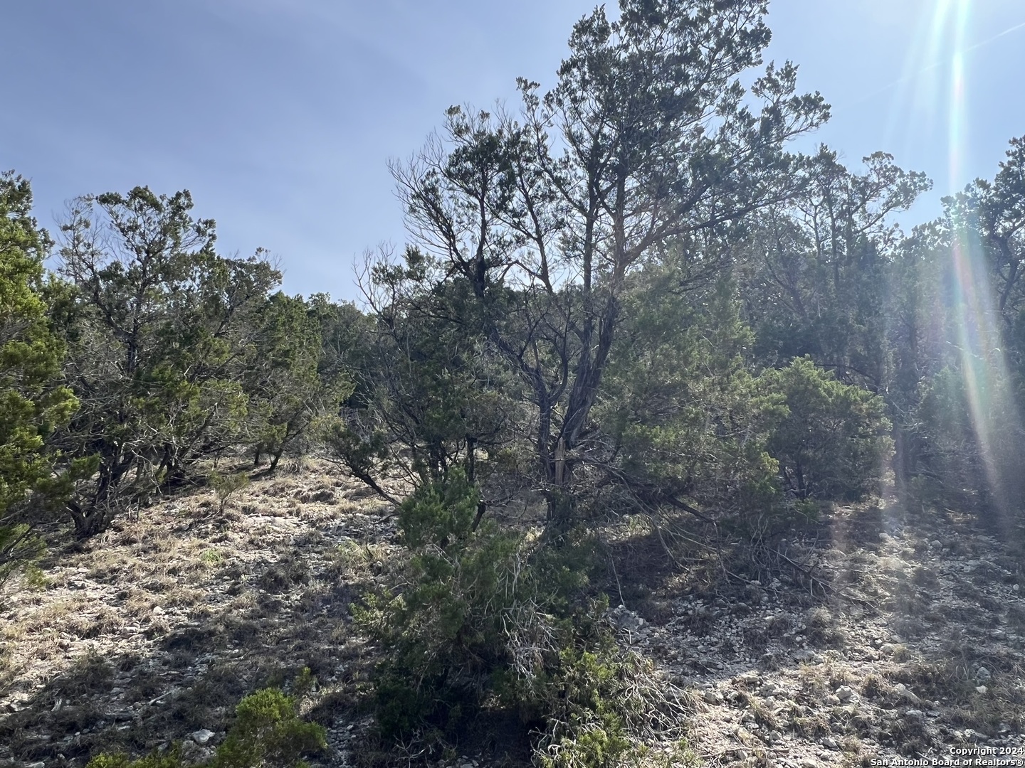 1081 Hillside View Drive New Braunfels TX 78132