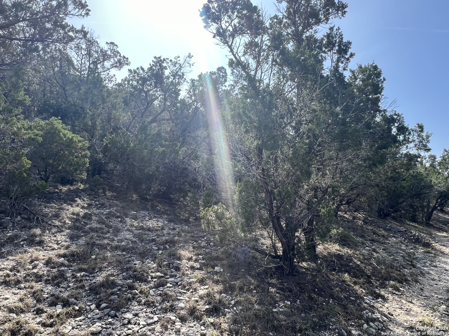 1081 Hillside View Drive New Braunfels TX 78132