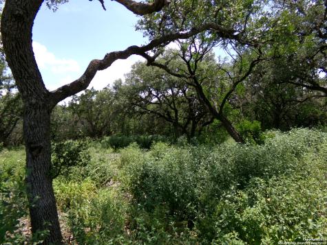 1881 Grand Oaks Hondo TX 78861