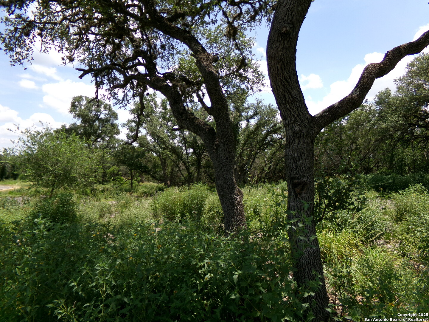 1881 Grand Oaks Hondo TX 78861