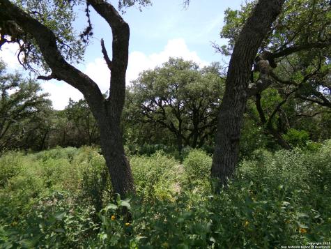 1881 Grand Oaks Hondo TX 78861