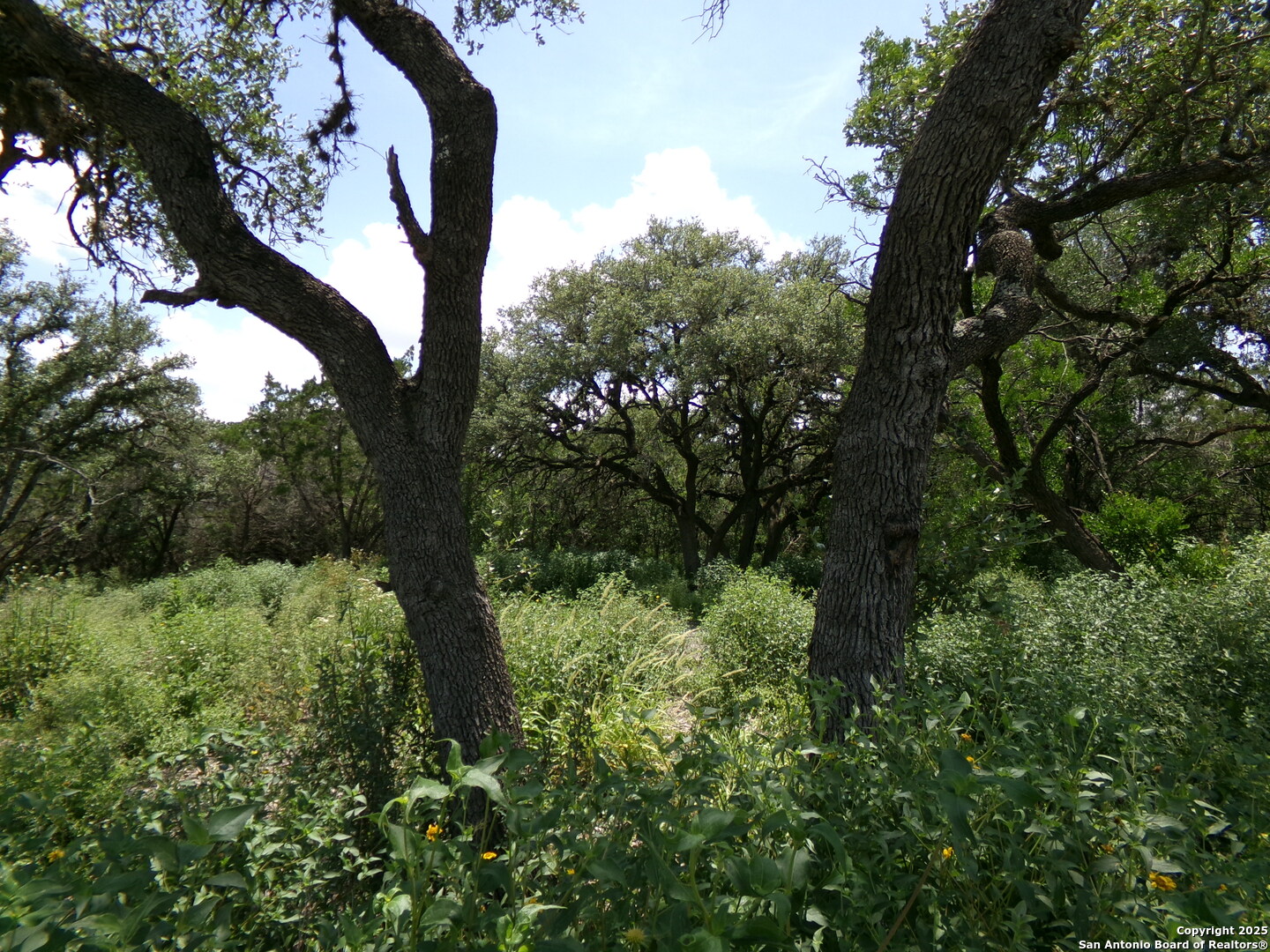 1881 Grand Oaks Hondo TX 78861