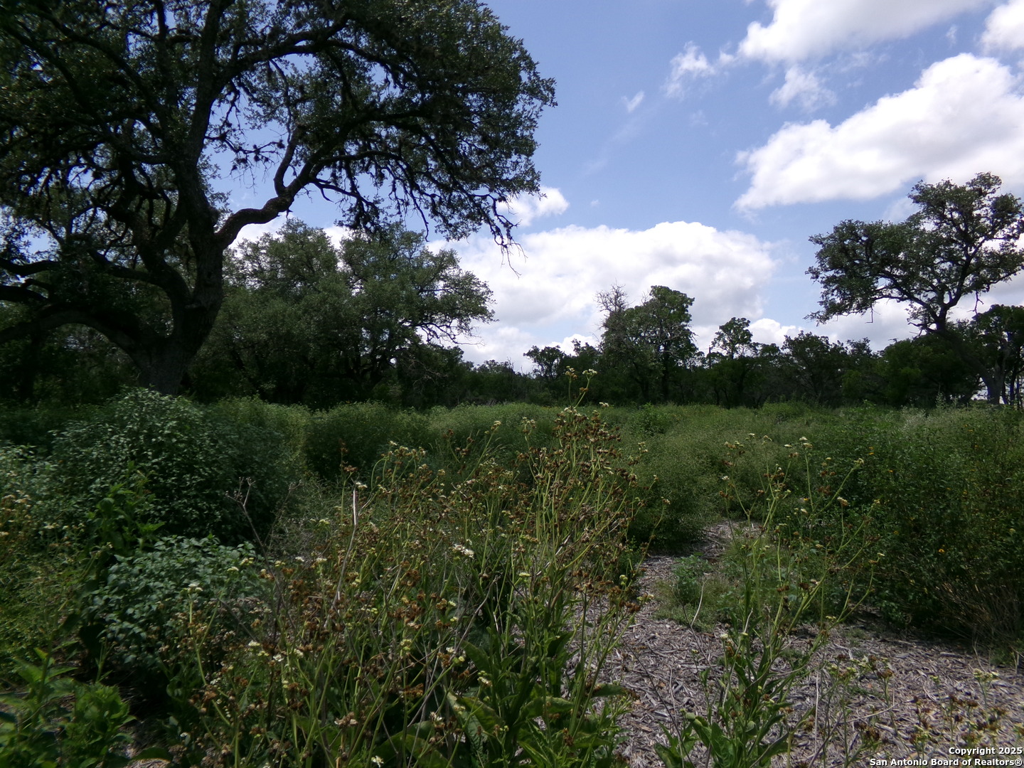 1881 Grand Oaks Hondo TX 78861