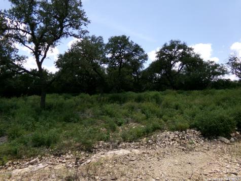 1881 Grand Oaks Hondo TX 78861