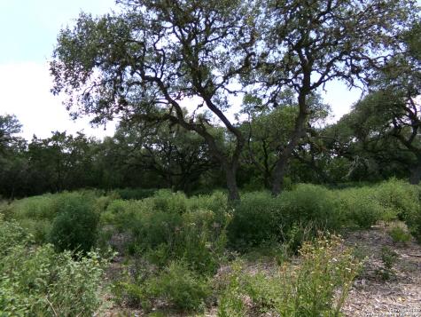 1881 Grand Oaks Hondo TX 78861