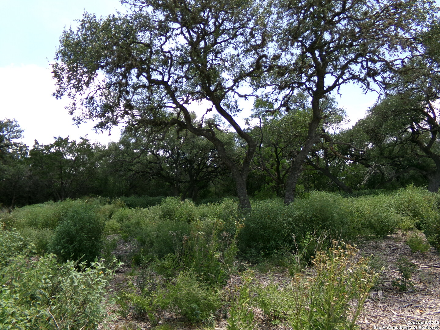 1881 Grand Oaks Hondo TX 78861