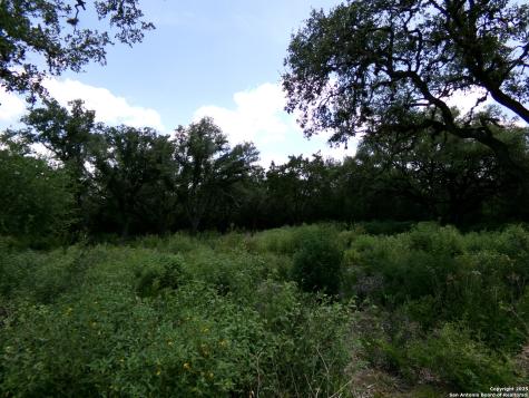 1881 Grand Oaks Hondo TX 78861