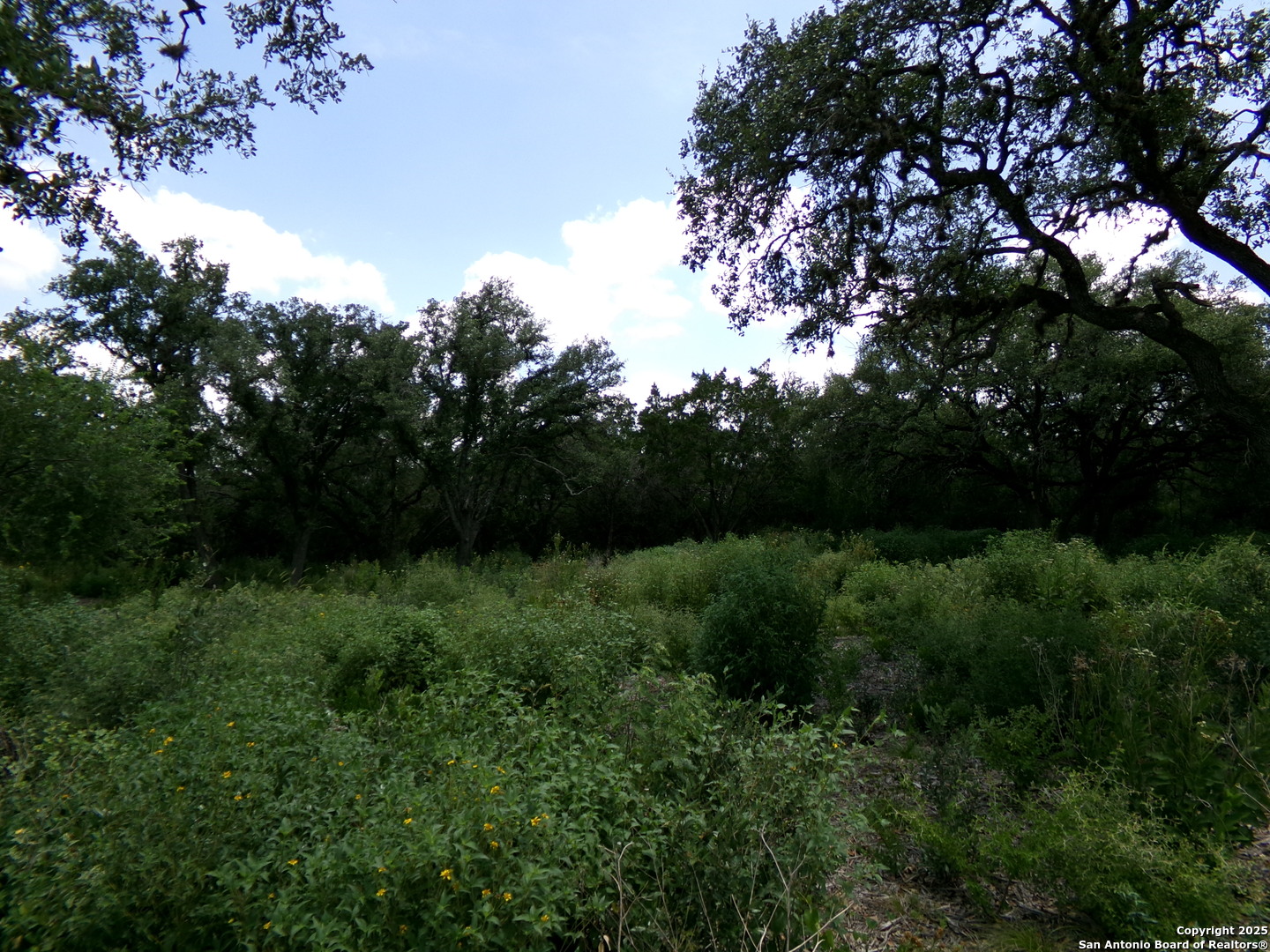 1881 Grand Oaks Hondo TX 78861