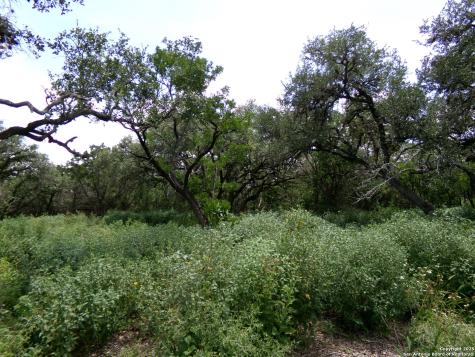 1881 Grand Oaks Hondo TX 78861
