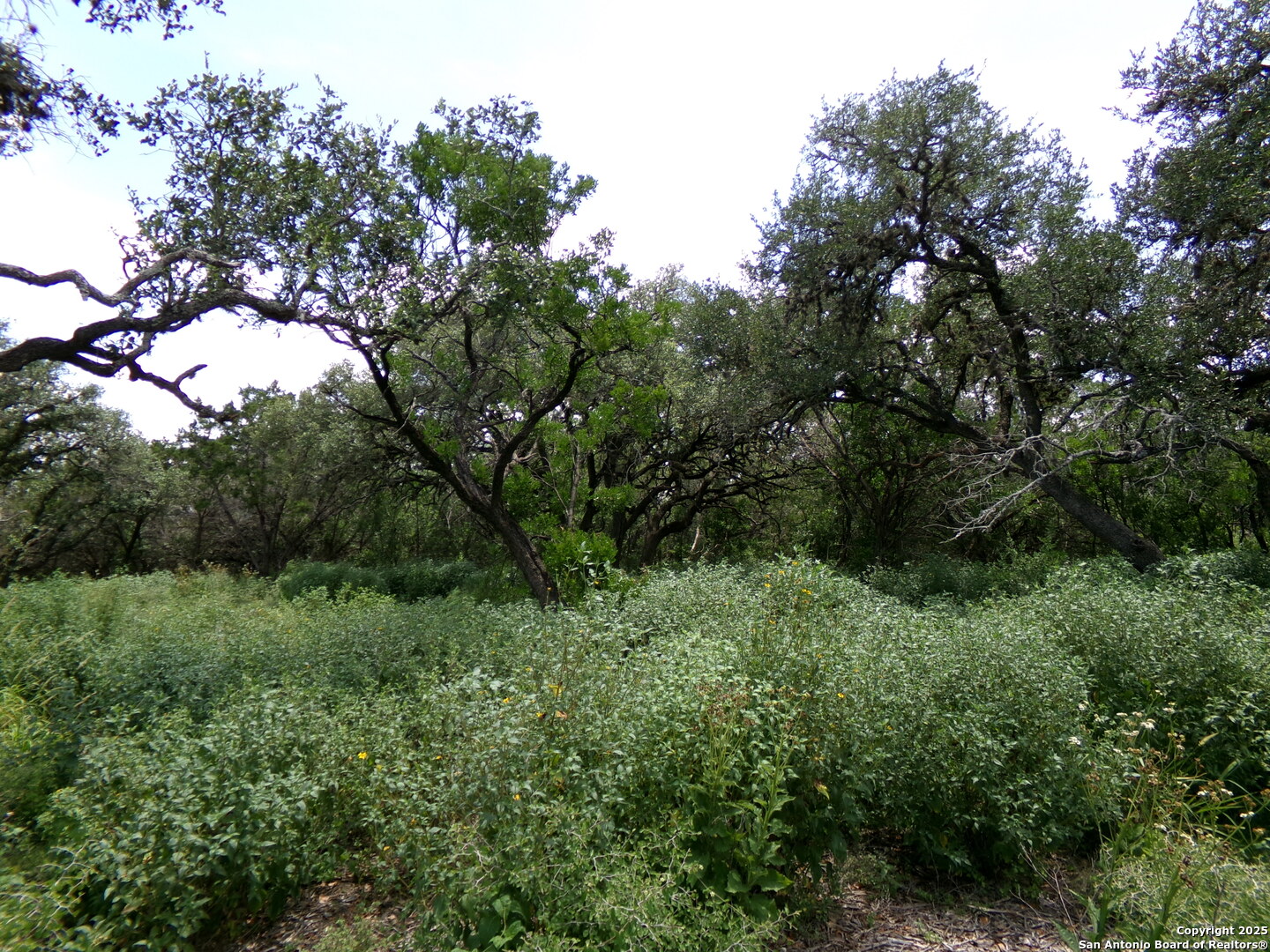 1881 Grand Oaks Hondo TX 78861