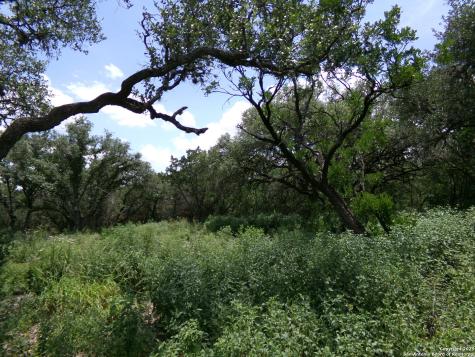 1881 Grand Oaks Hondo TX 78861
