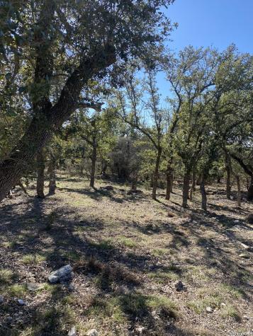 106 Ulmus Fredericksburg TX 78624