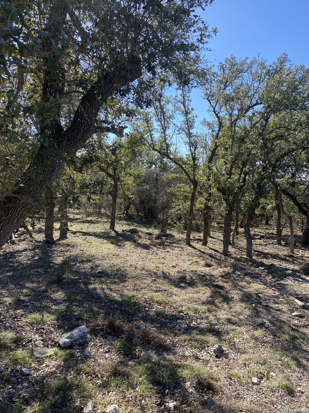 106 Ulmus Fredericksburg TX 78624