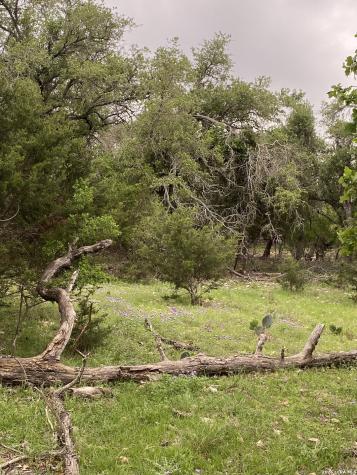 106 Ulmus Fredericksburg TX 78624