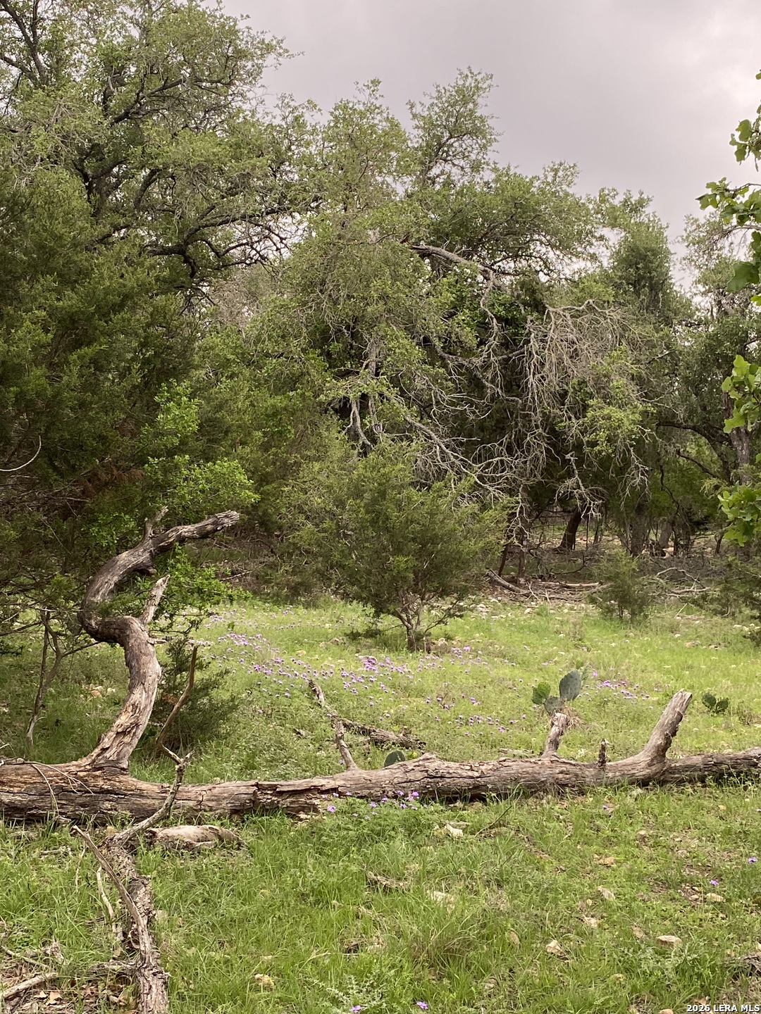 106 Ulmus Fredericksburg TX 78624