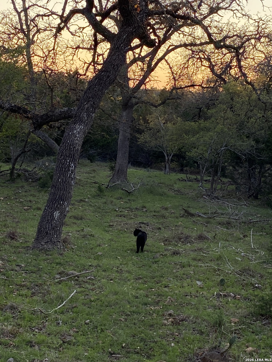106 Ulmus Fredericksburg TX 78624