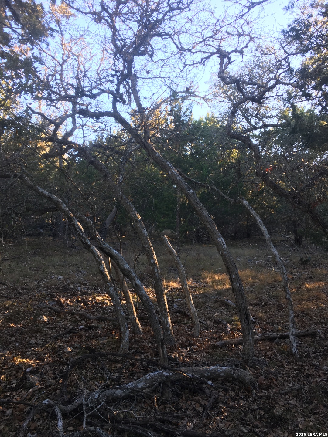 106 Ulmus Fredericksburg TX 78624