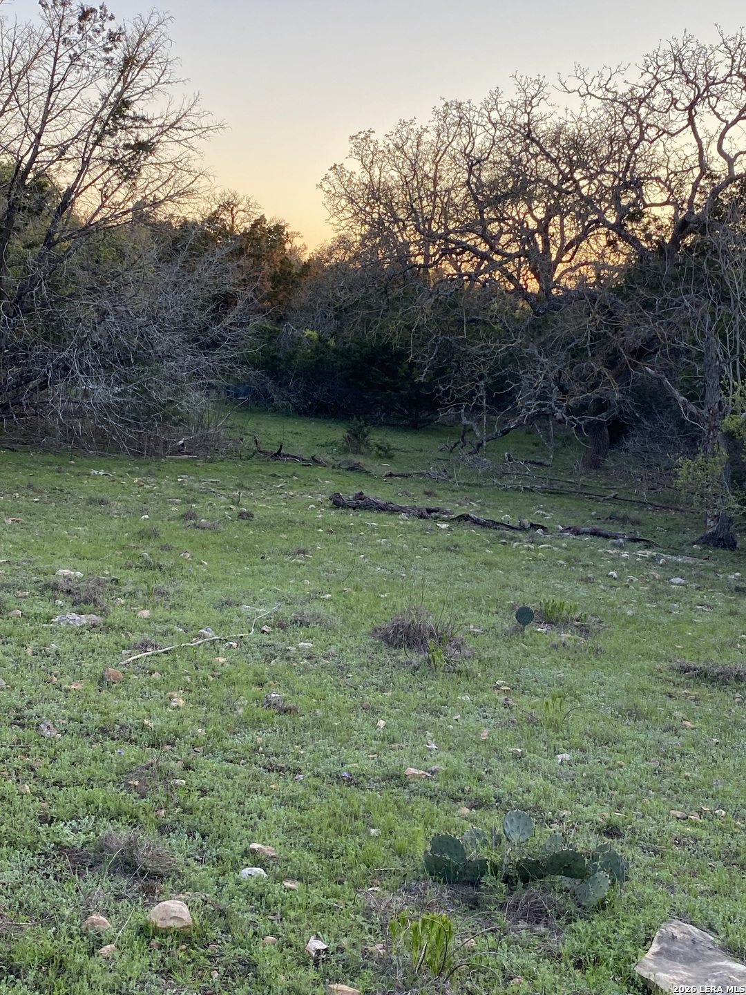 106 Ulmus Fredericksburg TX 78624