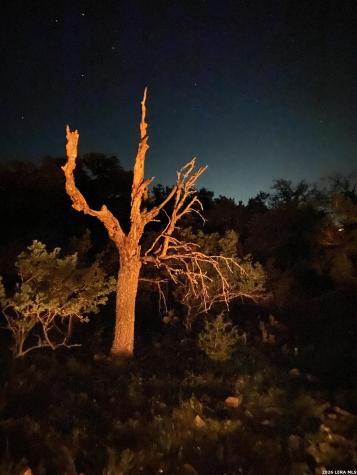 106 Ulmus Fredericksburg TX 78624