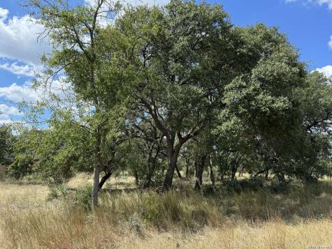 Lot 4 Blk C Rio Circle Pipe Creek TX 78063