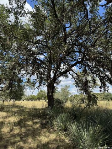 Lot 4 Blk C Rio Circle Pipe Creek TX 78063