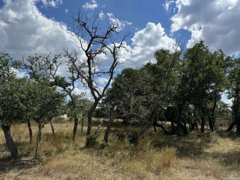 Lot 4 Blk C Rio Circle Pipe Creek TX 78063