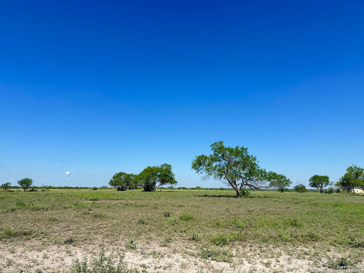 Lot 2 0 Cr 197 Falls City TX 78113