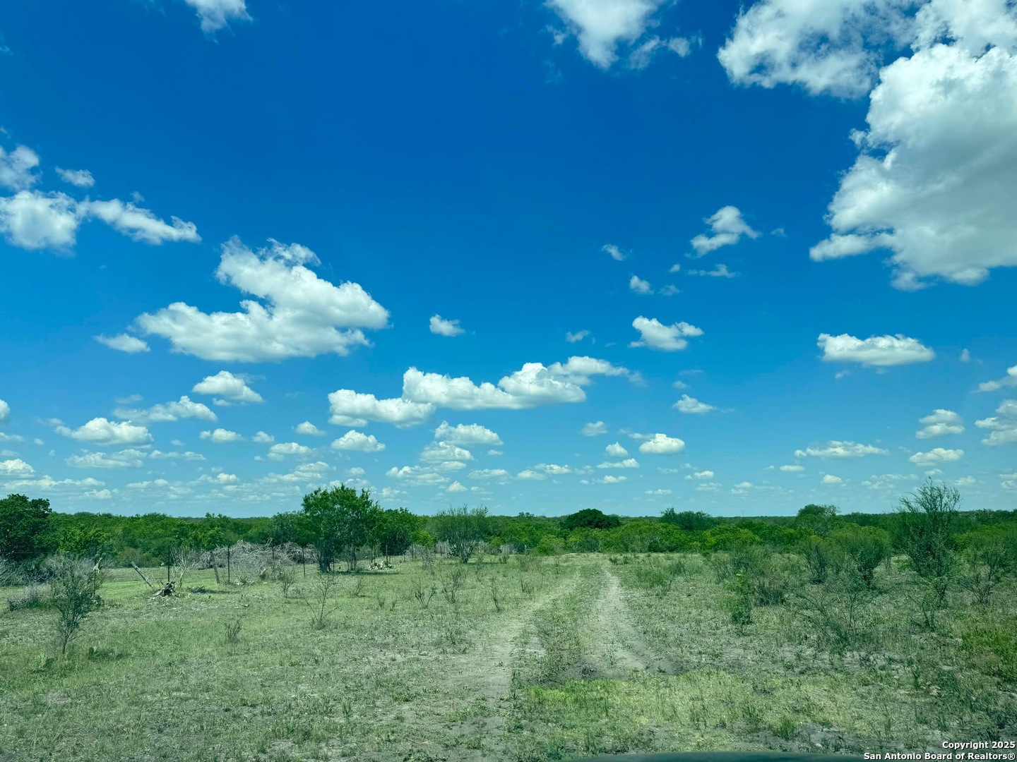 Lot 2 0 Cr 197 Falls City TX 78113