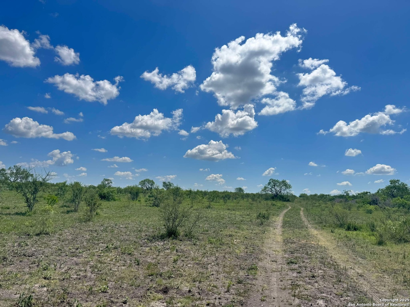 Lot 2 0 Cr 197 Falls City TX 78113