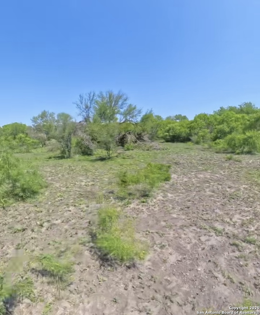 Lot 2 0 Cr 197 Falls City TX 78113