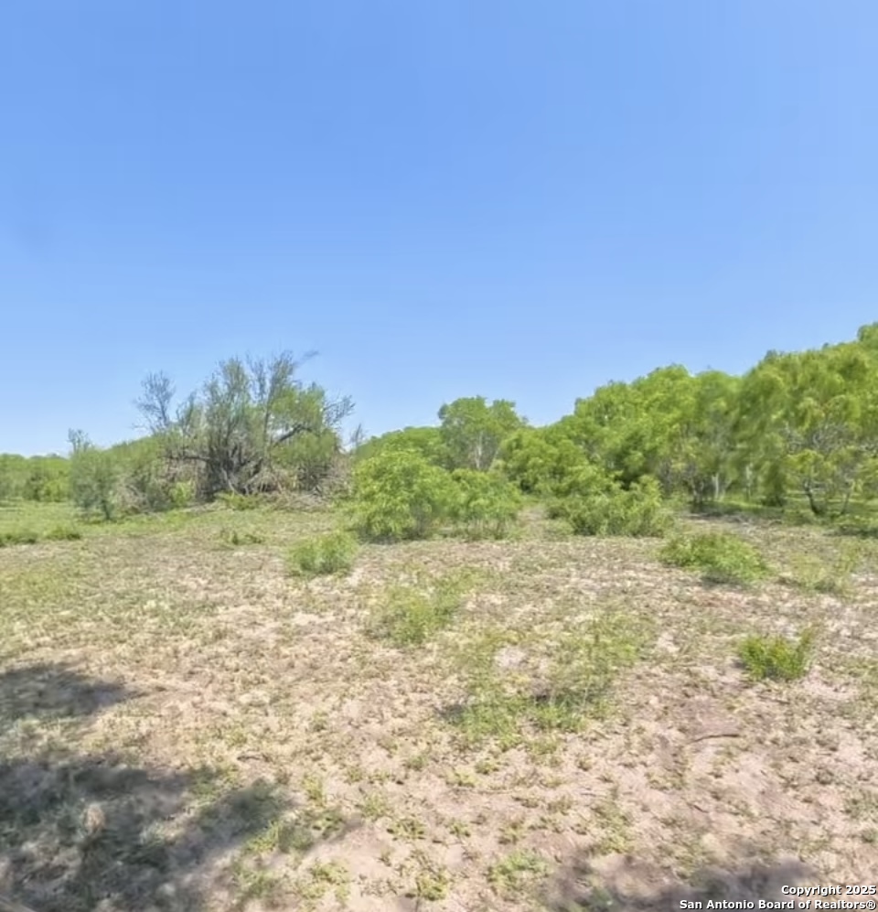 Lot 2 0 Cr 197 Falls City TX 78113