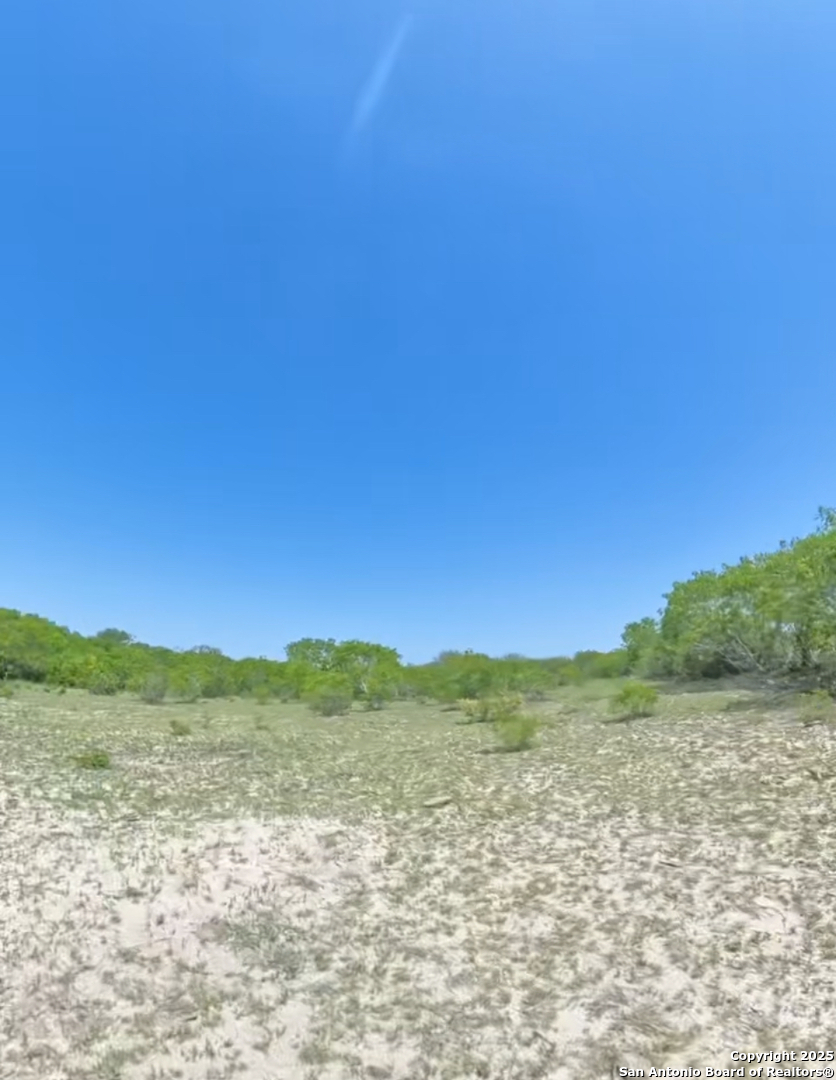 Lot 2 0 Cr 197 Falls City TX 78113