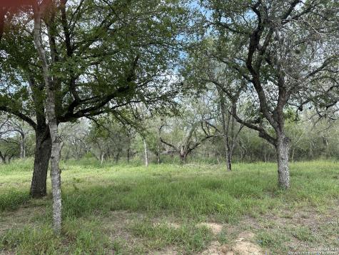 20588 S State Highway 16 Von Ormy TX 78073