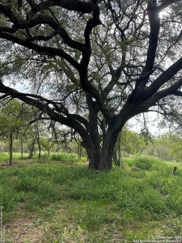 20588 S State Highway 16 Von Ormy TX 78073