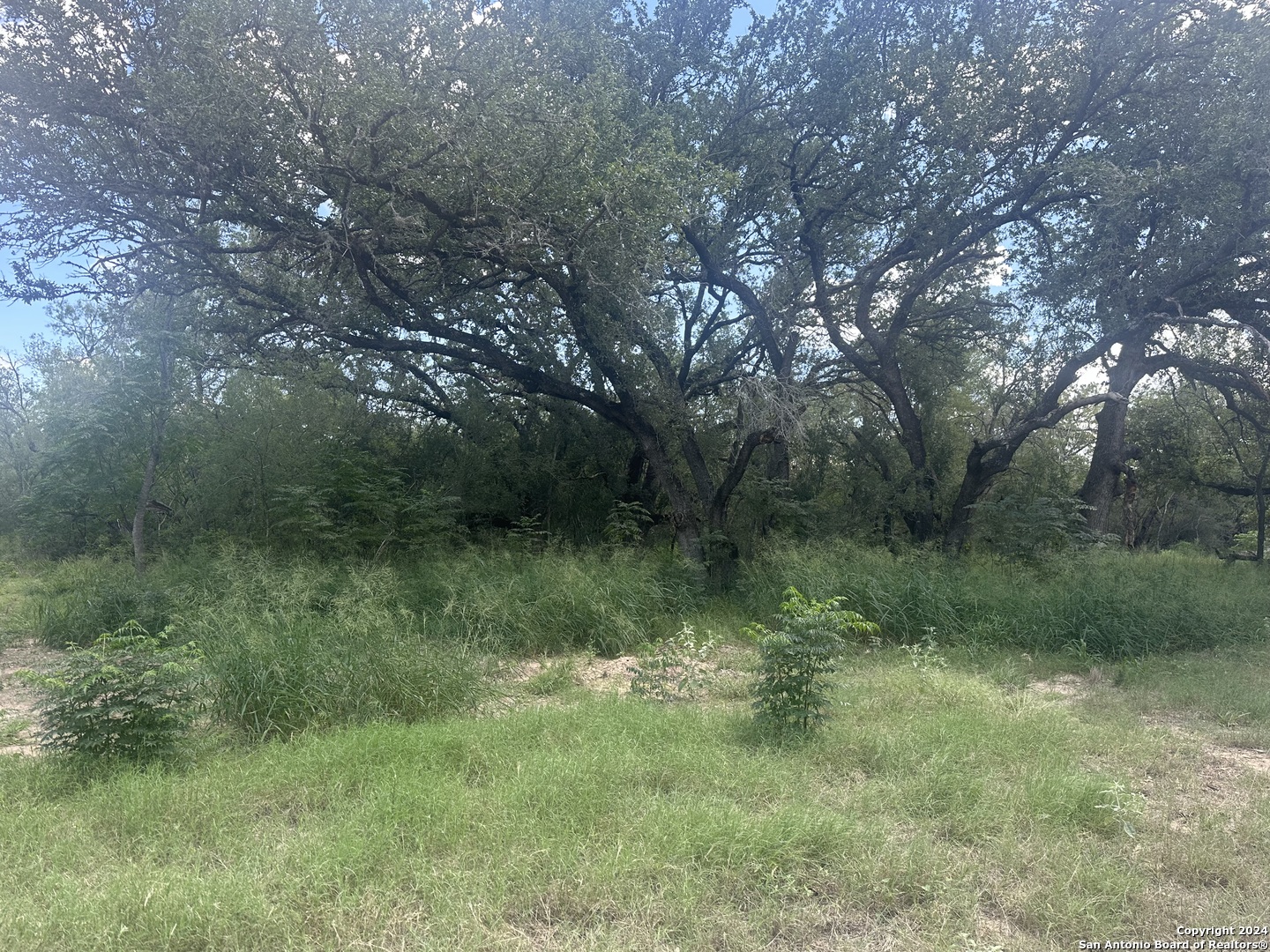 20588 S State Highway 16 Von Ormy TX 78073
