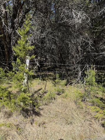 (LT) 395 Forest Trail Drive Bandera TX 78003