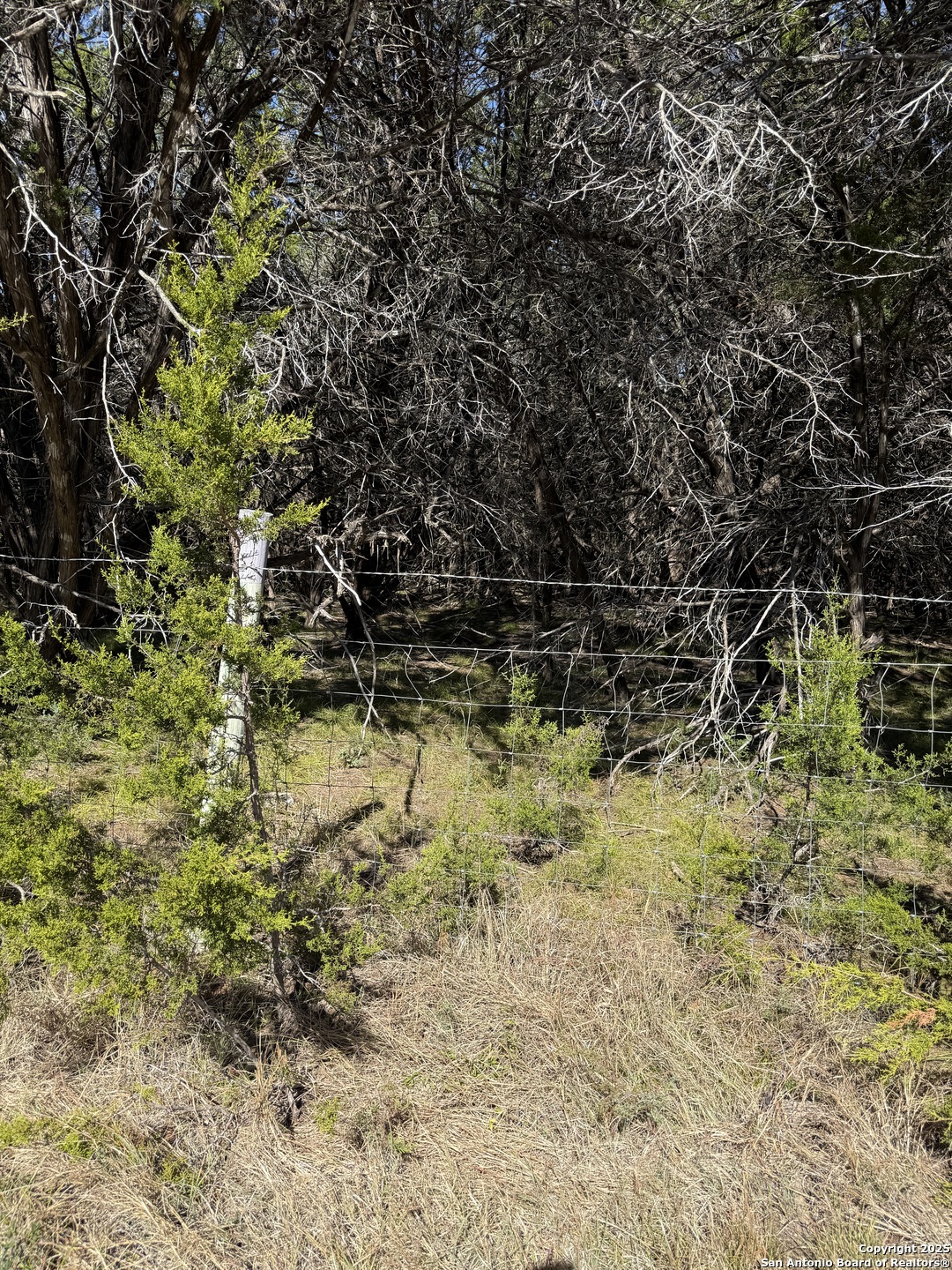 (LT) 395 Forest Trail Drive Bandera TX 78003