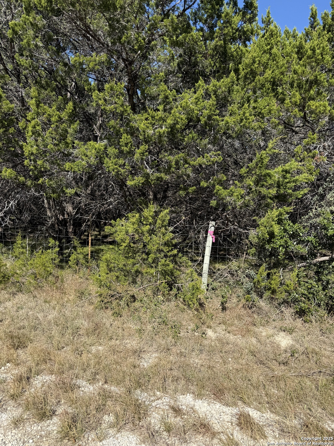 (LT) 395 Forest Trail Drive Bandera TX 78003