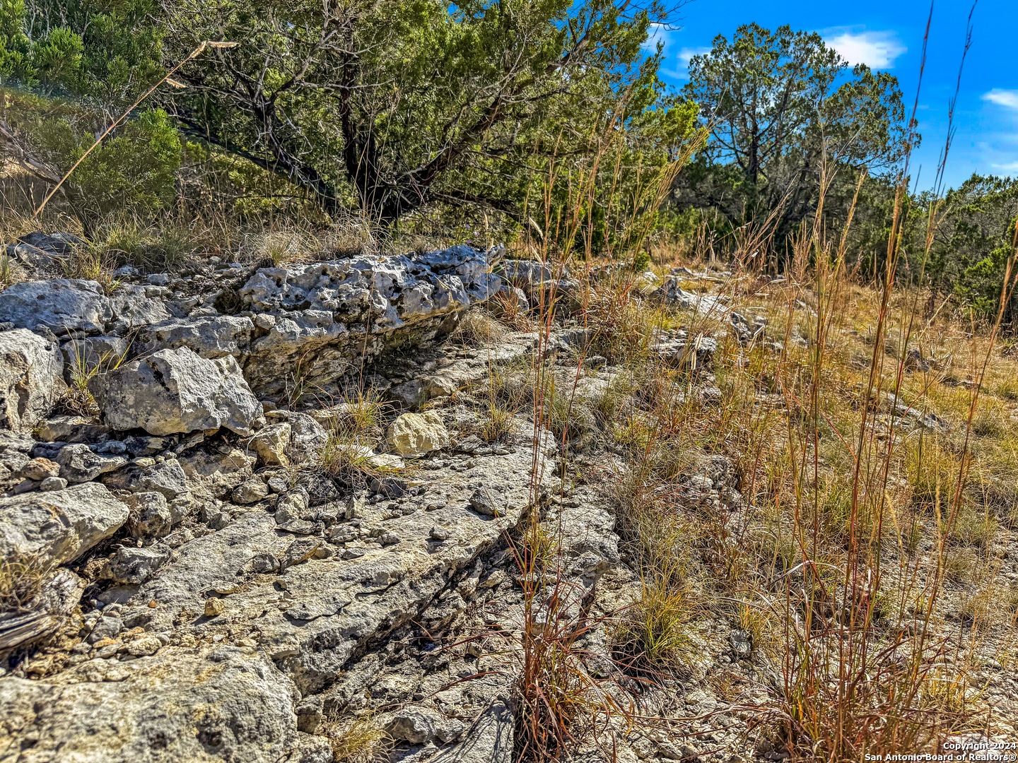 2900 Rocky Ridge Loop Canyon Lake TX 78133