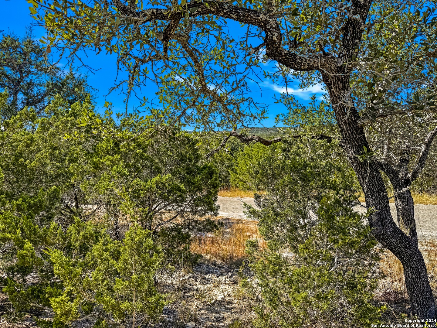 2900 Rocky Ridge Loop Canyon Lake TX 78133