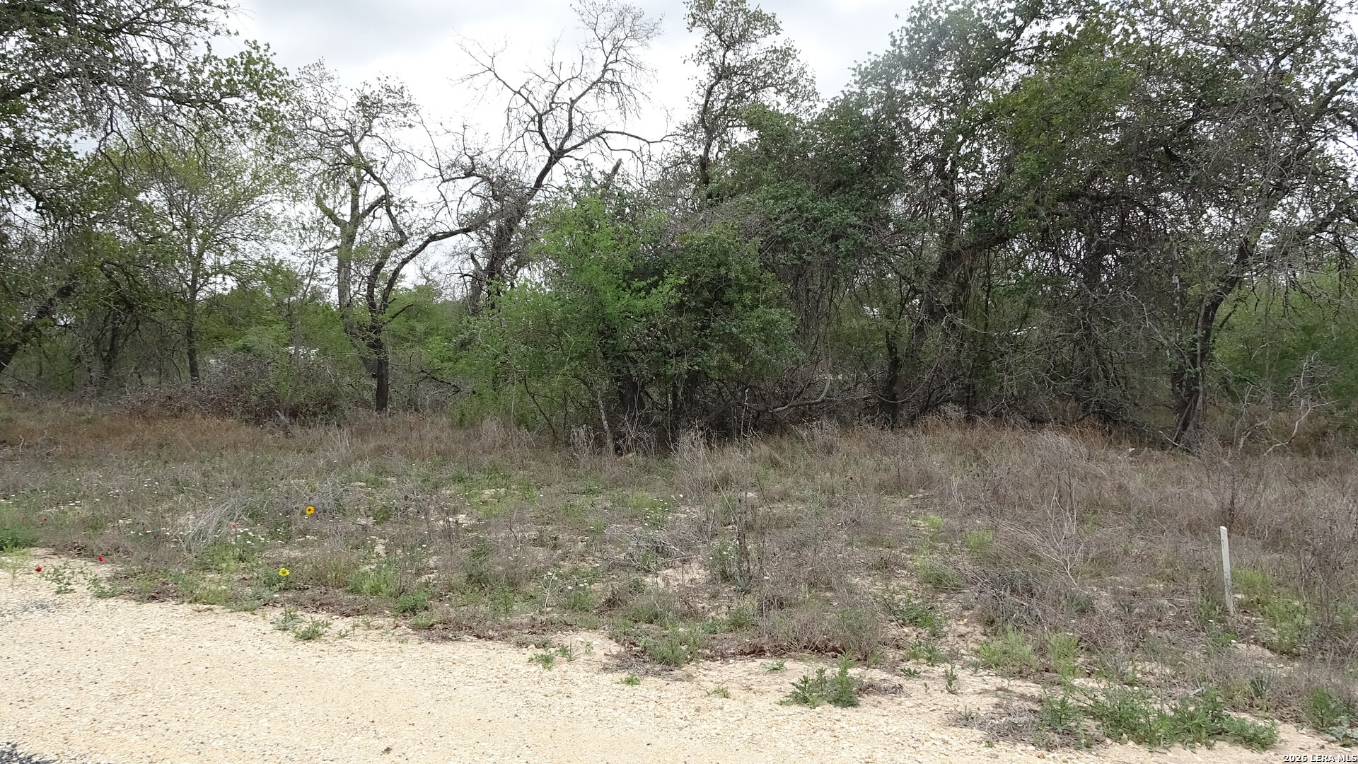 22823 Cherry Rock Elmendorf TX 78112