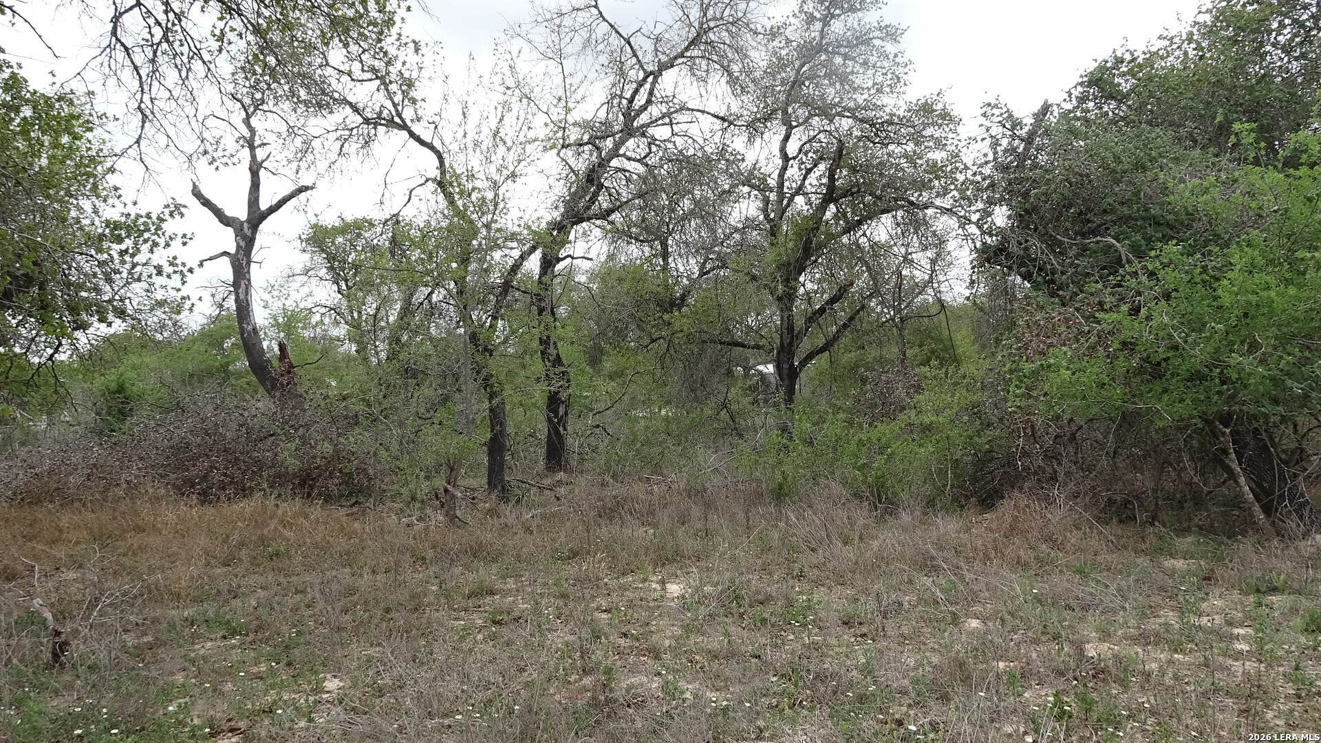 22823 Cherry Rock Elmendorf TX 78112